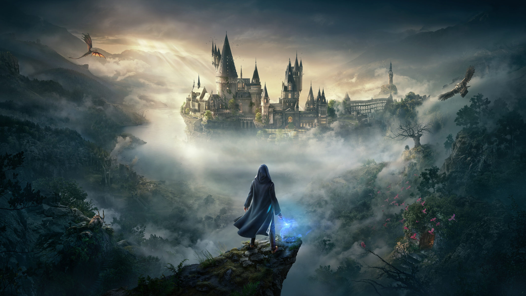Jogo Hogwarts Legacy Deluxe Chapéu Seletor Grifinória Steam em Promoção na  Americanas