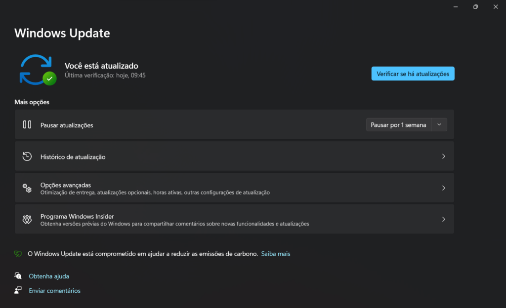 Seção de checagem de atualização do windows 11