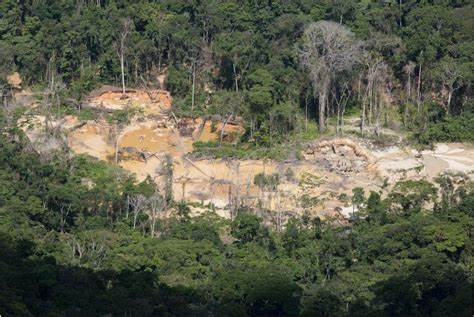 Vencedores do oscar 2023 receberão estatueta yanomami. Ação busca alertar sobre a extração de ouro ilegal na amazônia; alguns atores receberão em primeira mão o vídeo da campanha, confira.