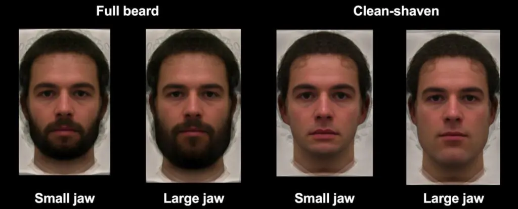 Por que alguns homens ficam mais bonitos com barba?. Já dizia o ditado: barba é a maquiagem do homem. Uma pesquisa se aprofundou no tema e explica por que o uso da barba pode deixar os homens mais atraentes (ou não).