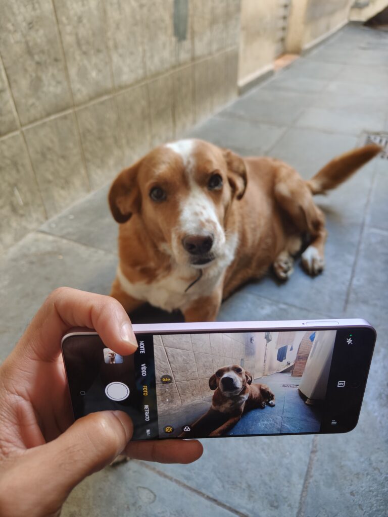 Review: oppo reno11 f 5g é um intermediário raiz, impulsionado por ia. Smartphone impressiona por boa duração de bateria e ia que consegue reconhecer mais de 120 objetos para corrigir fotos. Veja a análise