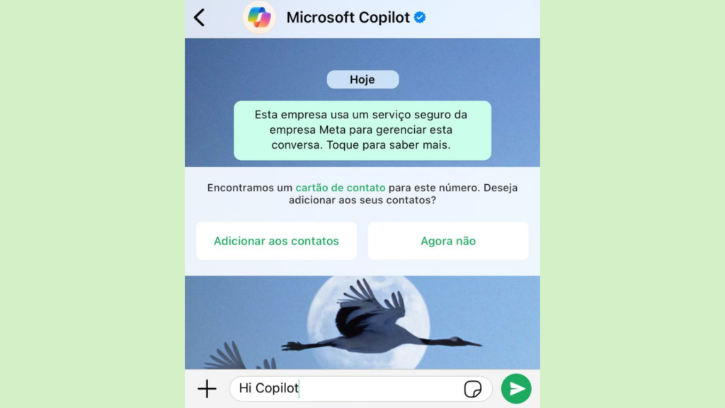 Copilot, ia da microsoft, chega ao whatsapp. Saiba como usar. Em poucos passos você adiciona a ia à sua agenda do iphone ou android e já pode criar imagens, corrigir textos e muito mais! Confira