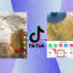 Como baixar vídeos do tiktok