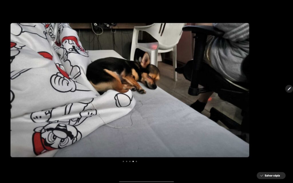 Foto de cachorro feita no galaxy tab s10 ultra com uso de ia