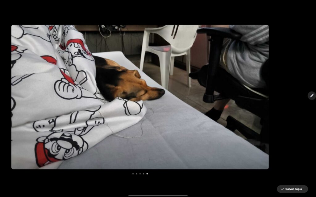 Foto de cachorro feita no galaxy tab s10 ultra com uso de ia