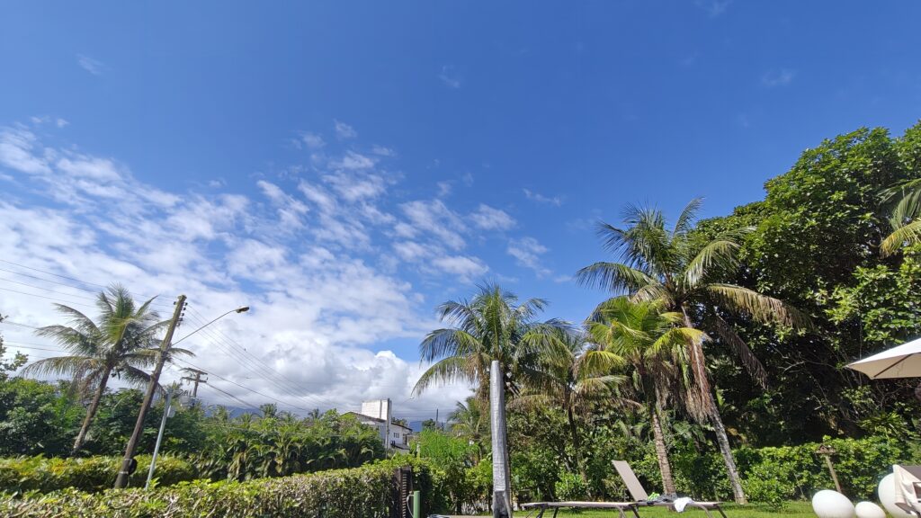 Céu azul, coqueiros e algumas nuvens em bairro no litoral