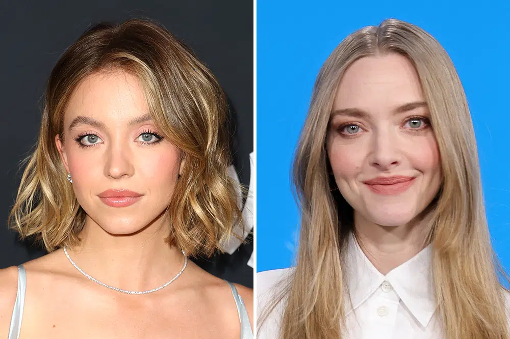 Sydney sweeney e amanda seyfried são protagonistas de the housemaid, filme que estreia em 2025