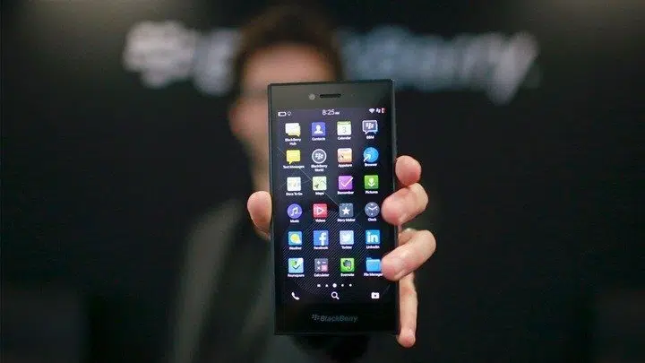 Blackberry-leap-hands