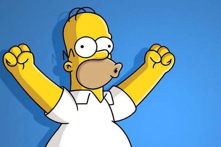 Homer-simpson-capa