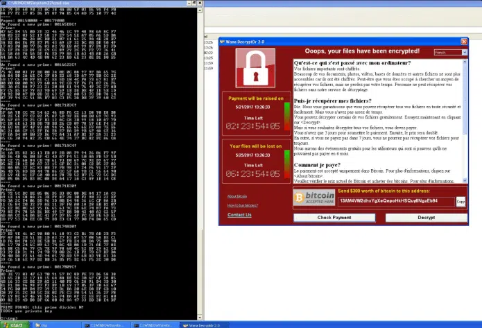 Wanakey em ação contra o wannacry no windows xp