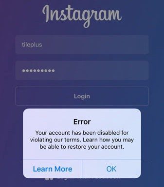 Ufa! Instagram reconhece bug e diz que contas não foram excluídas